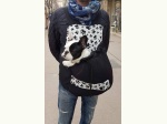 Sac de transport pour chien ventral noir et blanc