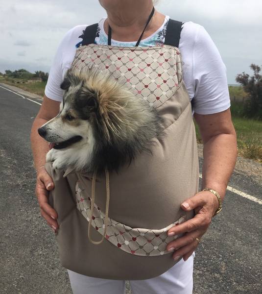 Ebook patron sac de transport pour chien Maria Erbsünde, en allemand